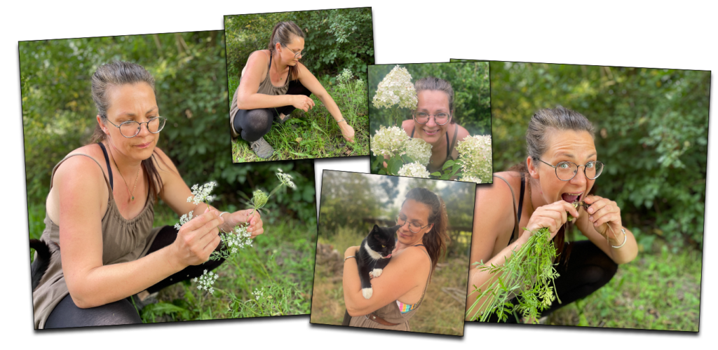 Fotocollage von Bärbel Holtz-Garbe in freier Wildbahn, Natur, Wald, Schnecke, Blumen, Katze